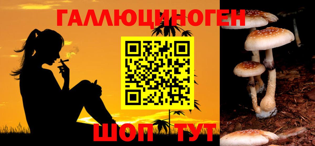 Галлюциногенные грибы Cubensis Геленджик